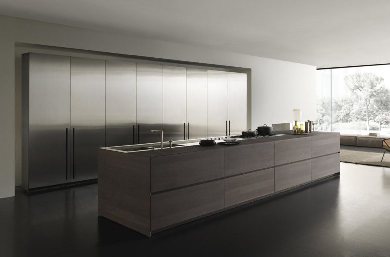 Kitchen Fly